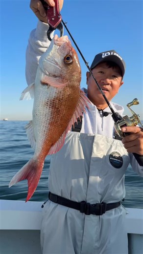 レジットデザイン ソルトウォーター on Instagram: "先日行われた 新製品・タイラバの撮影の一コマ。 「魚を一匹、確実に獲るために何をするのか」 その考え方・動き・間の取り方まで—— すべてが凝縮された瞬間でした。 派手さよりも、“釣れる理由”を積み重ねていくタイラバ。 現場の空気感や細かな駆け引きは ぜひ動画で感じてほしいです。 🎥 動画は近日公開予定どうぞお楽しみに。 #タイラバ #新製品テスト #釣れる理由"