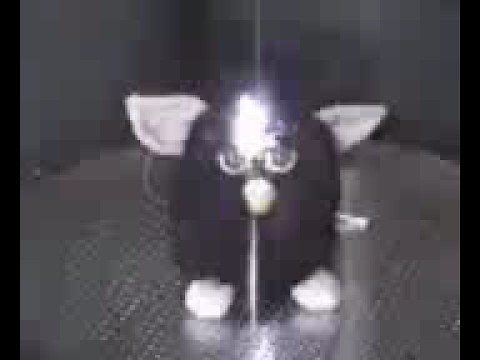 Furby In A Microwave!!!!!