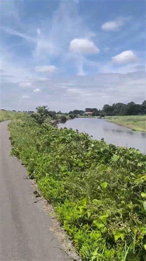 2026年6月6日 ロードバイク 栃木県 姿川サイクリングロード