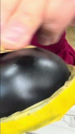 【靴修理】つま先のひび割れ、諦めてませんか？プロの塗装で紳士靴が蘇る全工程#靴修理 #紳士靴 #靴磨き #塗装 #ビフォーアフター #職人技 #熊本 #神水
