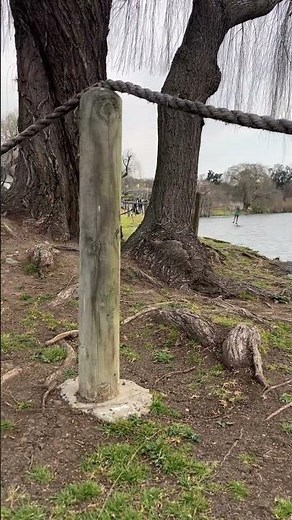 Soothing sound of nature & learning about Zen Buddhism. Teachings of Alan Watts. #lifeisbutadream