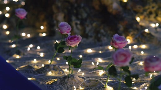 Creating Your Perfect Disney Proposal Moment