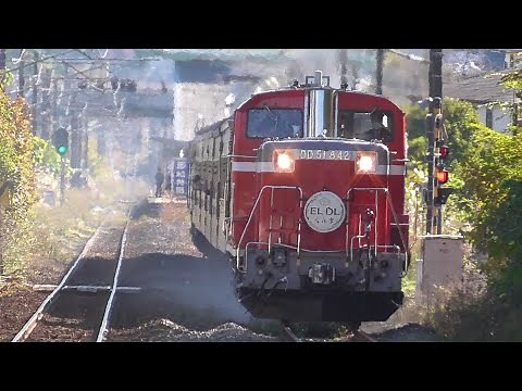 2024年11月24日 ラストホイッスル!! ディーゼル機関車 DD51 842 牽引 快速｢DLぐんま 1 fin｣ DD51 842＋旧型客車6両＋EF65 501 信越線 西松井田～横川 間