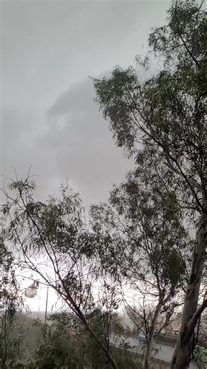 maryyam (@maryyam368)’s videos with original sound - A🕸️