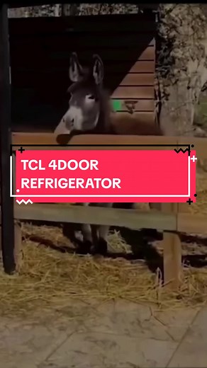 TCL 4-Door Refrigerator for Organized Fridge Storage