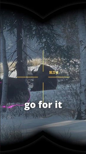 Bison HEART SHOT with a CROSSBOW 🫀🦬🏹 | theHunter: Call of the Wild