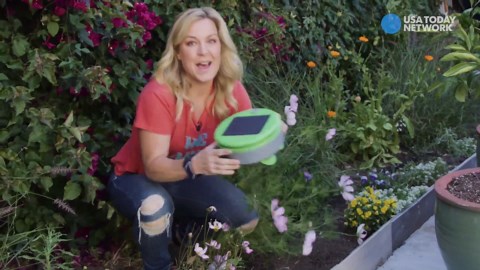 Upgrade your backyard with these tech tools