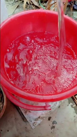 How to Give Epsom Salt to Plants — The Right Way!