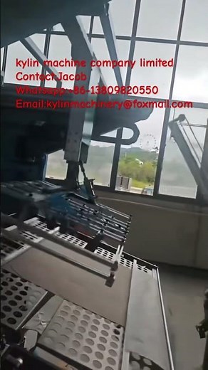 Automatic Die-Cutting Machine with Blanking Robot