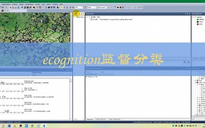 ecognition监督分类
