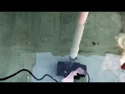 IBC tote bait tank blue gills