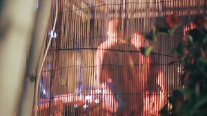 Redentore beach party 2019 TRAILER