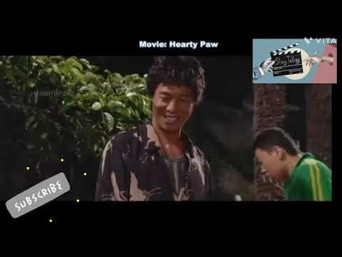 Dog pets loves movie, Vijay, Ajith Dhanush favert this movies,hollywood movies review 