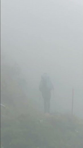 Hiking the Milford Track | New Zealands Great Walks