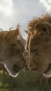 43K reactions · 505 shares | Family is king  Experience Taka and Mufasa’s brotherhood in Disney’s #Mufasa, available now on #DisneyPlusPH. | Disney+ PH | Facebook