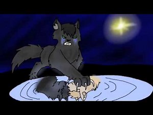 Nightcloud and Leafpool AMV - Misery Business