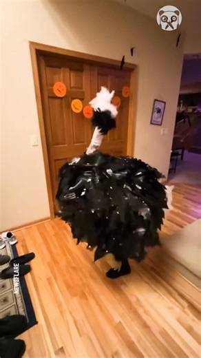 Best Halloween costume ever! | Ideas Panda