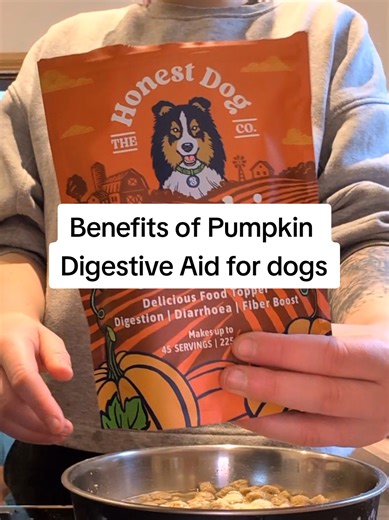 you've got a fussy eater with digestive issues? @Honest Dog Co. have got you 🙌🏼 Pumpkin Digestive Aid is 100% natural ingredients & can be added to your dogs existing meals 🤩