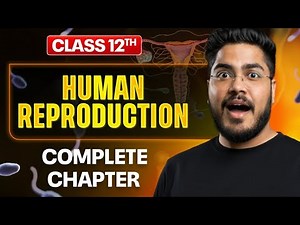 Human reproduction class 12th 2025 | biology | NCERT | ovulation & fertilization