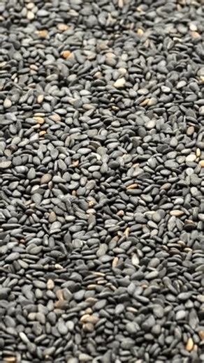 clip-3976955533-organic-black-sesame-seeds-texture-macro-background
