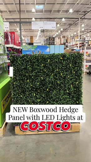 Discover the NEW Boxwood Hedge Privacy Panel at Costco
