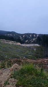 32 reactions | NZlogger | Sales Rod | Facebook