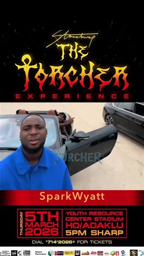 Exploring the Tortorcher Experience 26