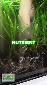 2.8K views · 66 reactions | Talking DIRT SUBSTRATE with...