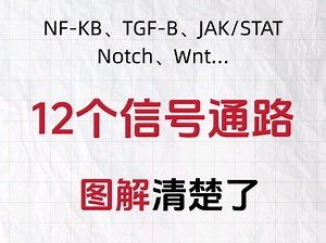 终于有人把十二大信号通路全部图解出来了，允许白嫖