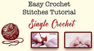 1.6K views · 31 reactions | Learn to crochet the single crochet...