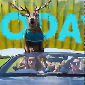 1.5K views · 70 reactions | The adventure is coming home! Get #PeterRabbit2, now on Blu-ray and Digital and enjoy rewatching all your favorite moments as many times as you want. 廒 bit.ly/PeterRabbit2- | Peter Rabbit Movie | Facebook