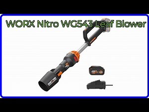 REVIEW (2025): WORX Nitro WG543 Leaf Blower. ESSENTIAL details.