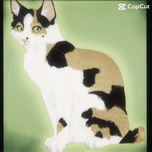 My fav Warriors with the Run #warriorcats