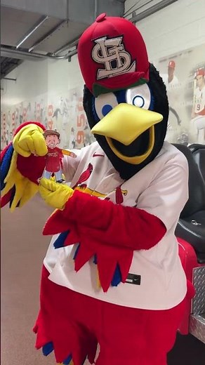 ❤️ Cardinals Players Help a Student’s Flat Stanley Dream Come True ⚾ #Shorts