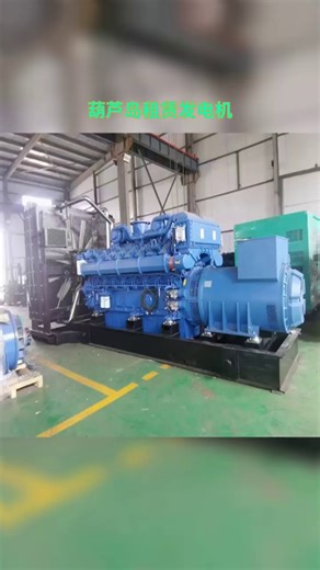 葫芦岛租赁发电机-应有尽有