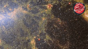 1.2K views · 259 reactions |  Peering behind bars. This image shows...