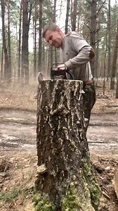 #lumberjacklife #woodworking #timber #forest #sawdust #axeman #logcabin #outdoorsman #woodchopping #treefelling #hardwood #woodsmen #lumberjackstyle #woodgrain #woodpile | LumberJack Zu