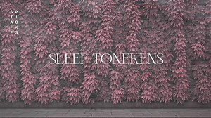 Neural DSP 员工精选系列音色 - Staff Picks: Sleep Tonekens