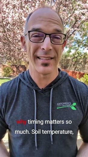 Why Pre-Emergent Timing Matters in Spring