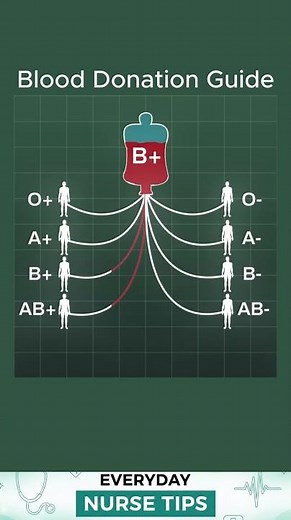 Blood Donation Guide Explained Who O Positive Can Donate To