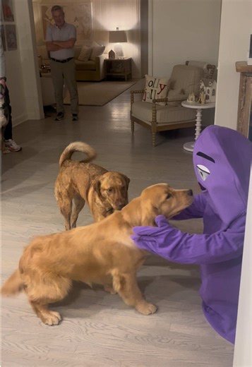 Nash's Fearless Encounter with the Grimace Costume