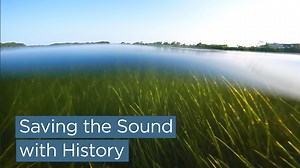 18 reactions | Meg Shah ’24 (CLAS) discusses how her Summer Undergraduate Research Fund (SURF) Award is helping her research and ultimately create a historical distribution map of eelgrass in the Long Island Sound, which will be used to find locations with higher success rates for its restoration. Among many things, eelgrass is a critical habitat for fish, it filtrates water, and it stabilizes the shoreline. | UConn | Facebook