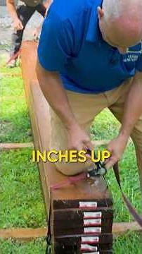 This Trick Will Straighten Warped Wood