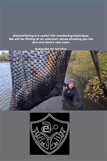 Electrofishing techniques | AE Fisheries