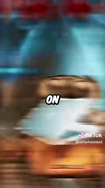 Did you notice these things in Wall-E?