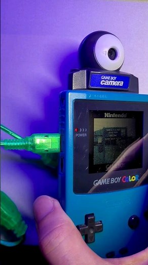 Transfer Gameboy Camera pictures to PC #shorts #gameboy #gameboycamera #printer #emulator