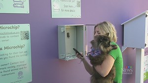Accessible microchip scanner to get pets home