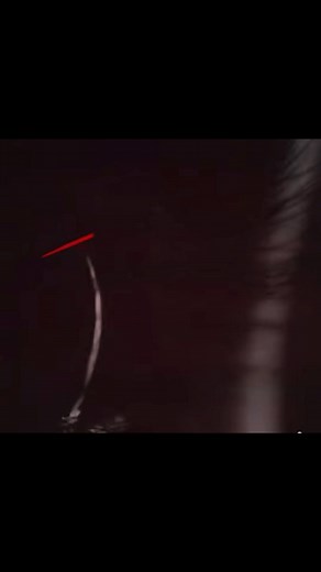 14 reactions | On behalf of Capital Markets Association of Zambia,...