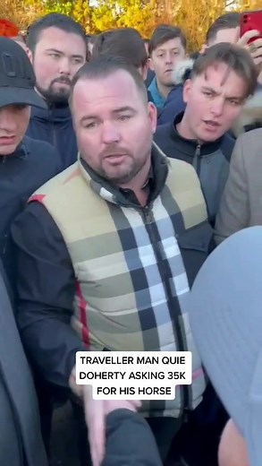 Traveller Man Quie Doherty Selling Horse for 35K