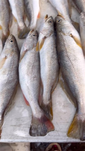 I know how to feed my family! | Kimberly Wells